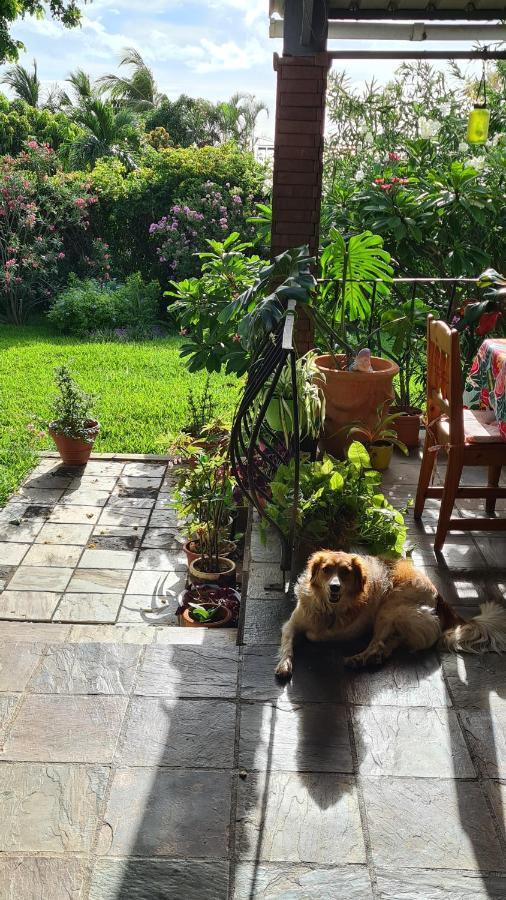 Comfy Home-Tropical Garden & 5 Min Walk To Beach Tamarin Exteriér fotografie